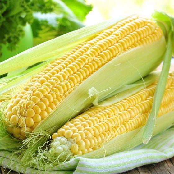 Organic Heirloom Early Golden Bantam Sweet Corn Seeds