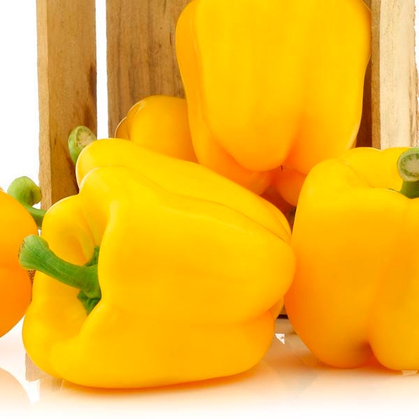 Organic Heirloom SunBright Sweet Pepper Seeds