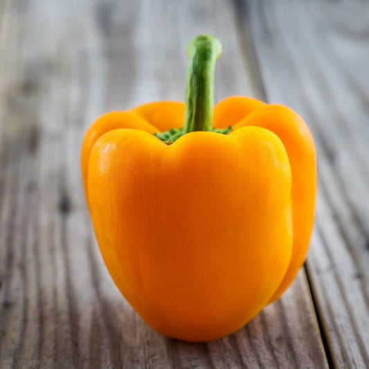 Organic Heirloom SunBright Sweet Pepper Seeds