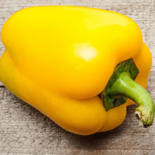 Load image into Gallery viewer, Organic Heirloom SunBright Sweet Pepper Seeds
