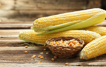 Load image into Gallery viewer, Heirloom Organic Gourmet Mushroom Popcorn Corn Seeds
