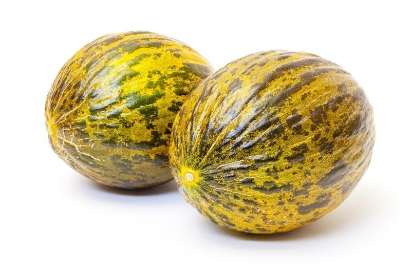 ENDANGERED!!!!! Heirloom Organic Oblonot Sweet Melon  Seed !!!ENDANGERED PLANT super rare!