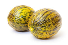 Load image into Gallery viewer, ENDANGERED!!!!! Heirloom Organic Oblonot Sweet Melon  Seed !!!ENDANGERED PLANT super rare!

