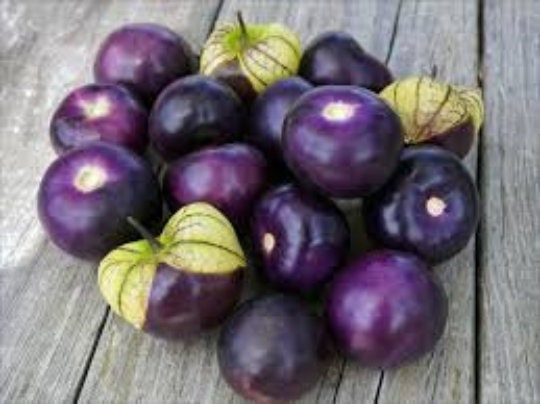 Organic Heirloom Purple Tomatillo Seeds Rare