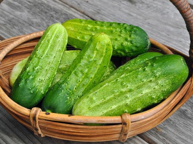 Organic Heirloom Poinsett 76 Cucumber Seeds