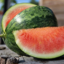 Load image into Gallery viewer, Heirloom Organic Wilson&#39;s Sweet Watermelon Seeds
