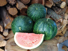 Load image into Gallery viewer, Heirloom Organic Wilson&#39;s Sweet Watermelon Seeds
