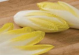 Heirloom Organic Salad King Endive Seeds