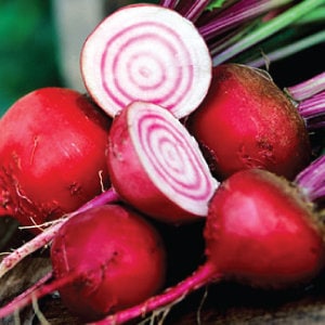 Heirloom Organic Chioggia Guardsmark Beet Seeds (Aka Bullseye Beet)