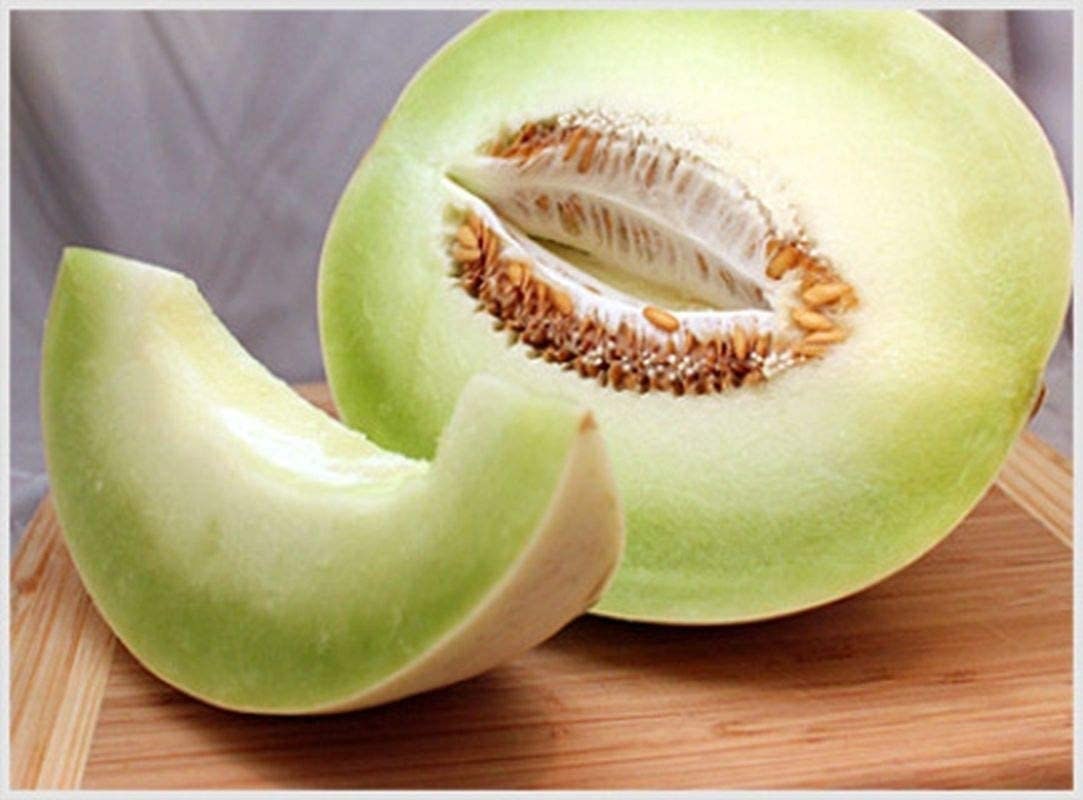 Heirloom Organic Tam Dew Honeydew Melon Seeds