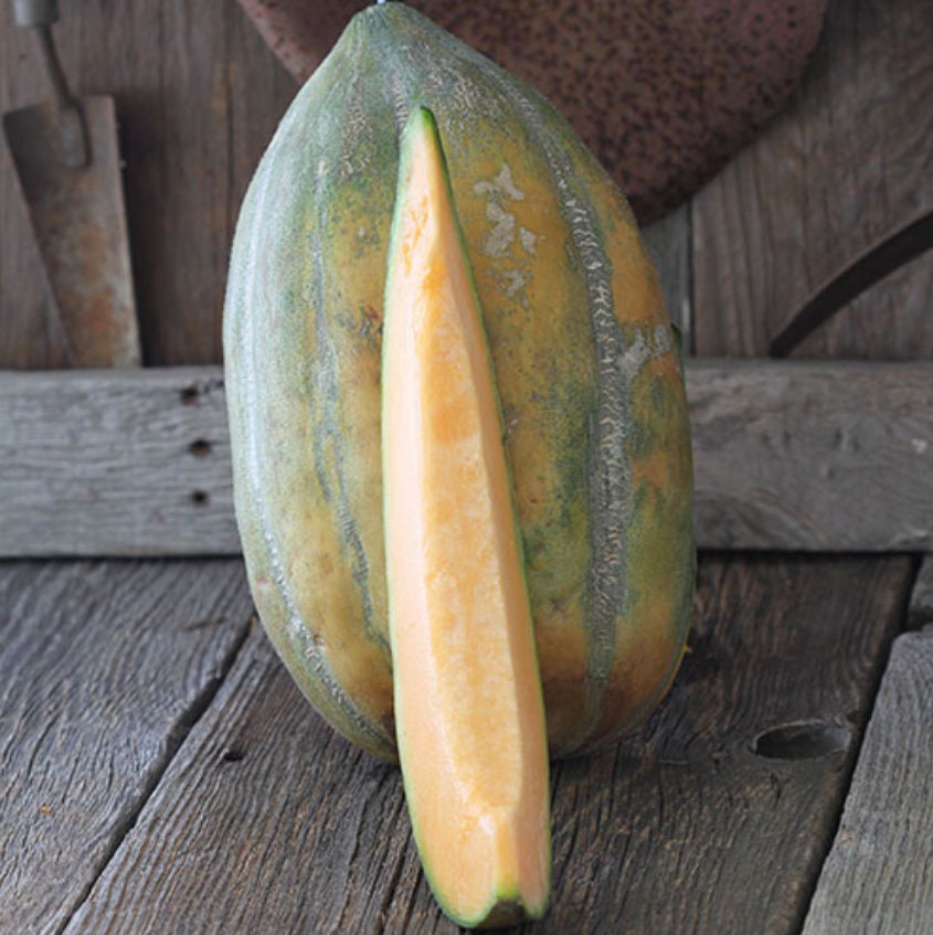 RARE Heirloom Organic Bidwell Casaba Melon Seeds