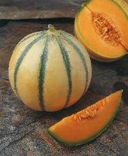 Load image into Gallery viewer, RARE HEIRLOOM Organic Charentais Melon Seeds (Aka French Cantaloupe)
