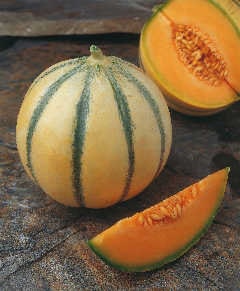 RARE HEIRLOOM Organic Charentais Melon Seeds (Aka French Cantaloupe)