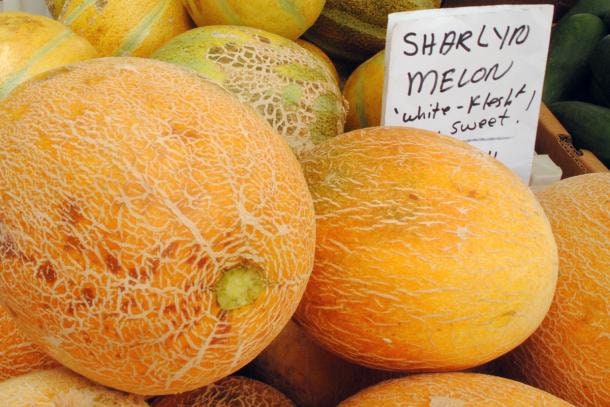 Rare Heirloom Organic Sharlyn Melon Seeds (Aka Pineapple Melon, Ananas Melon, Ananas D'Amerique a Chair Verte)