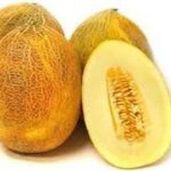 Rare Heirloom Organic Sharlyn Melon Seeds (Aka Pineapple Melon, Ananas Melon, Ananas D'Amerique a Chair Verte)