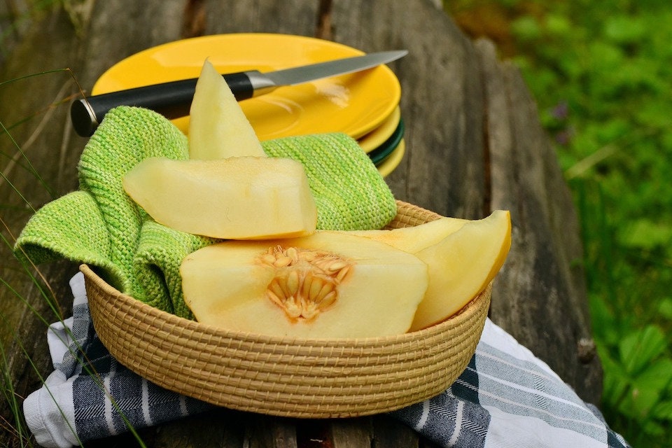 Rare Heirloom Organic Sharlyn Melon Seeds (Aka Pineapple Melon, Ananas Melon, Ananas D'Amerique a Chair Verte)