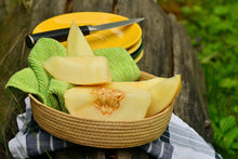 Load image into Gallery viewer, Rare Heirloom Organic Sharlyn Melon Seeds (Aka Pineapple Melon, Ananas Melon, Ananas D&#39;Amerique a Chair Verte)
