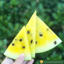 Load image into Gallery viewer, Heirloom Organic Mountain Sweet Yellow Watermelon Seeds
