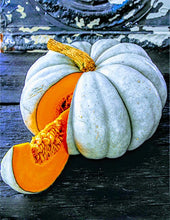 Load image into Gallery viewer, RARE Organic Heirloom Jarrahdale Pumpkin Seeds
