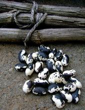 Load image into Gallery viewer, Heirloom Organic Orca Bean Seeds (Aka Calypso Beans, Yin Yang Beans, Panda bean seeds)
