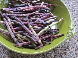 Organic Heirloom Purple Coronet Southern Pea (Cowpea) Seeds