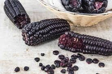 Load image into Gallery viewer, RARE Heirloom Organic Peruvian purple Corn Seeds (Maiz Morado or Incan Ceremonial Maiz)
