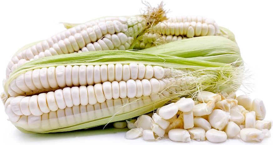 RARE Heirloom Organic Incan Cuzco Maize Seeds !!!WORLD'S LARGEST!! Giant White Peruvian Sweet Corn Seeds