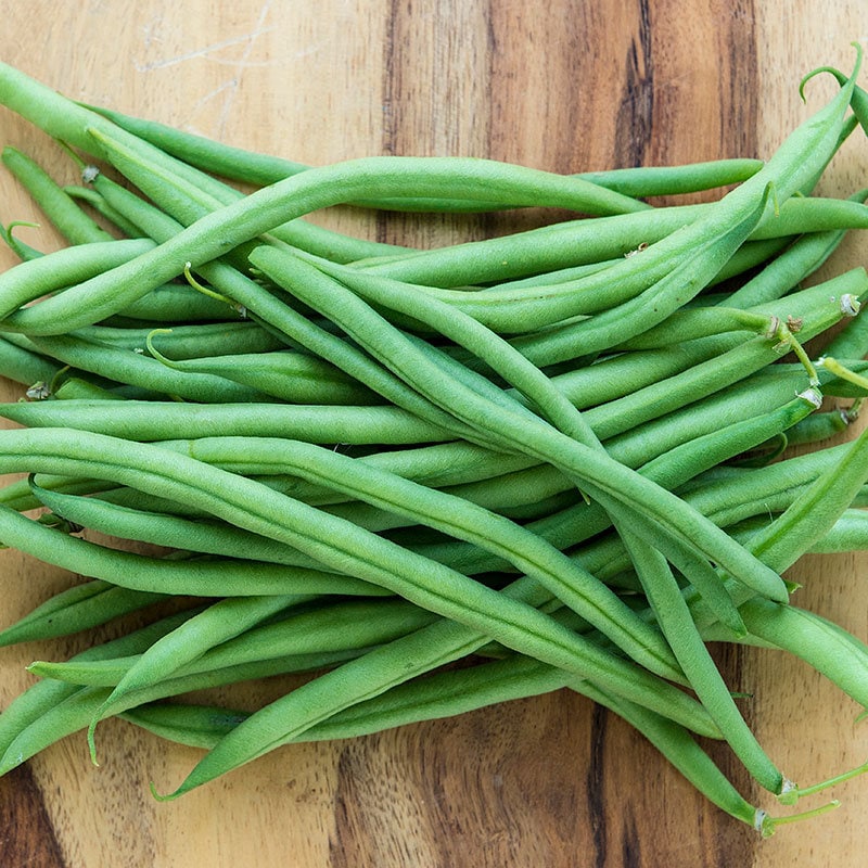 Organic Heirloom Top Crop Bush Bean Garden Seeds