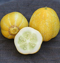 Load image into Gallery viewer, Rare Heirloom Organic Lemon Cucumber Seeds
