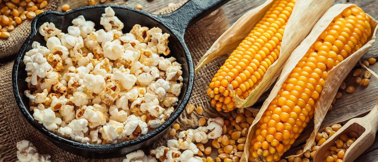 Heirloom Organic Gourmet Mushroom Popcorn Corn Seeds