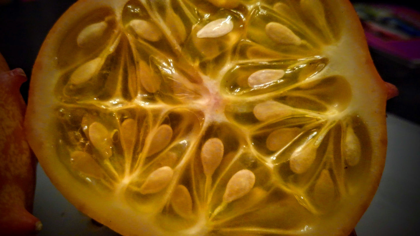 Organic Heirloom Horned Melon Seeds (Cucumis metuliferus, Kiwano, Jelly Melon, African Horned Cucumber.) Seeds Rare