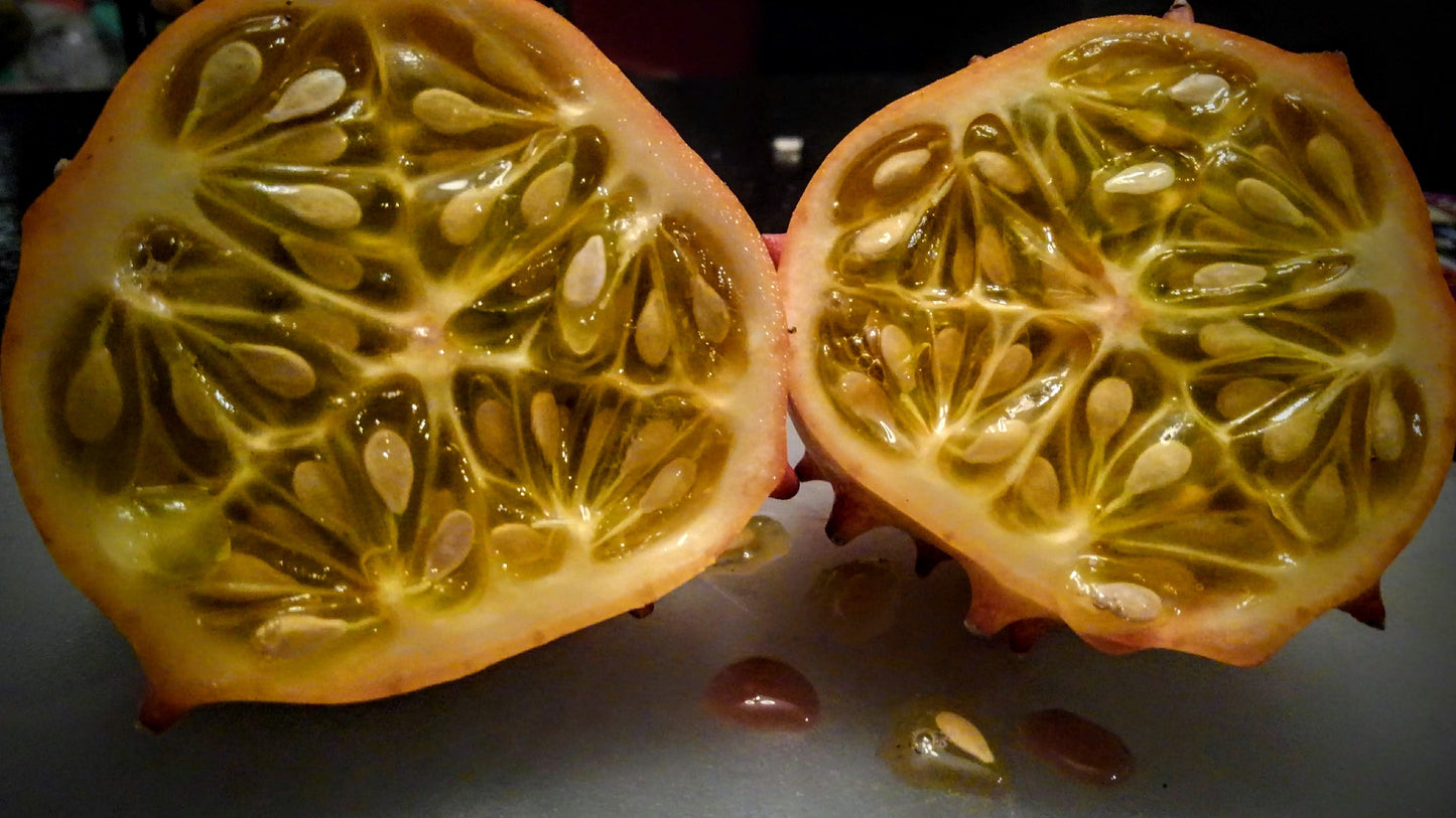 Organic Heirloom Horned Melon Seeds (Cucumis metuliferus, Kiwano, Jelly Melon, African Horned Cucumber.) Seeds Rare