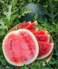 Load image into Gallery viewer, Organic Heirloom Blacktail Mountain Watermelon Seeds
