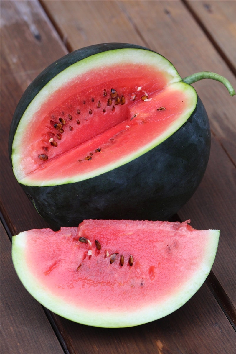 Organic Heirloom Blacktail Mountain Watermelon Seeds