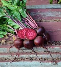 Heirloom Organic Chioggia Guardsmark Beet Seeds (Aka Bullseye Beet)