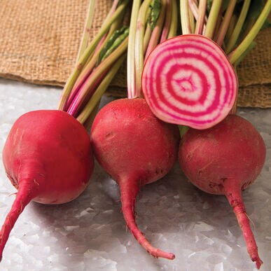 Heirloom Organic Chioggia Guardsmark Beet Seeds (Aka Bullseye Beet)