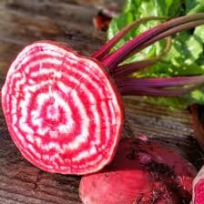 Heirloom Organic Chioggia Guardsmark Beet Seeds (Aka Bullseye Beet)