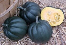 Load image into Gallery viewer, Heirloom Organic Royal Ace Acorn Squash Seeds
