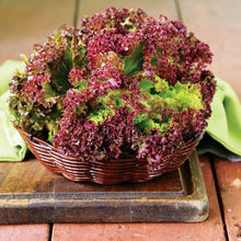Load image into Gallery viewer, Heirloom Organic New Red Fire Lettuce Seeds
