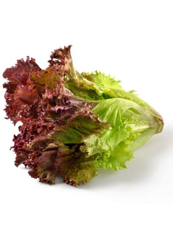 Heirloom Organic New Red Fire Lettuce Seeds