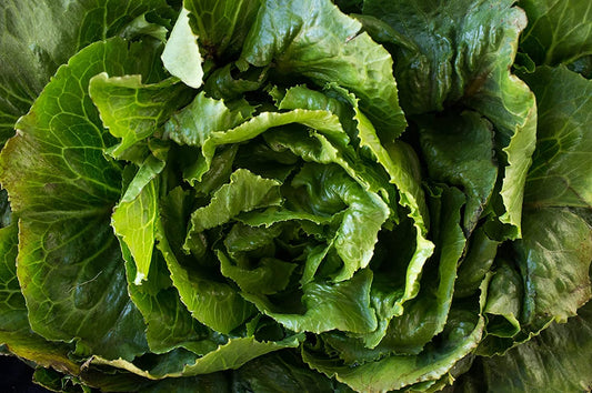 Heirloom Organic Morris Heading Collards