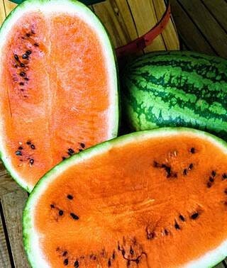 Organic Heirloom Orange Tendersweet Watermelon