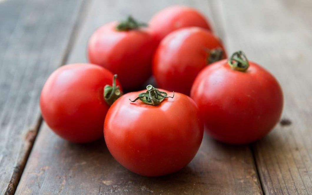 Organic Early Girl Tomato Seeds Pelleted