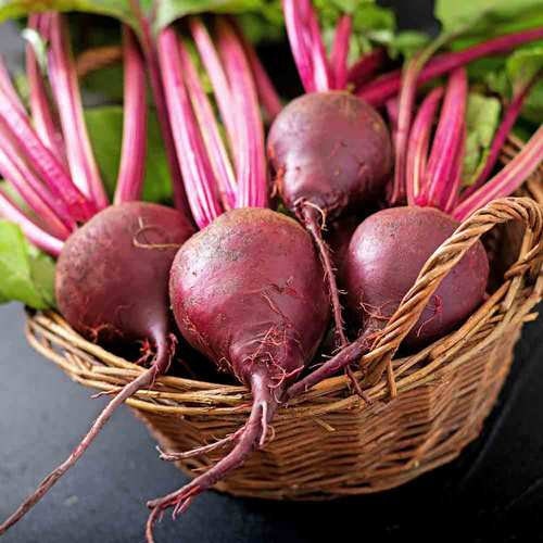 Heirloom Organic Ruby Queen Seeds