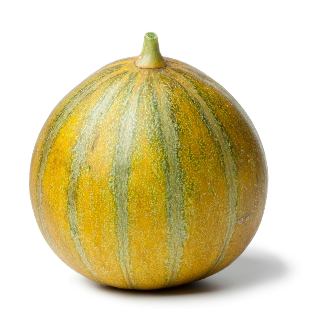 Ha-Ogen Melon Musk Melon