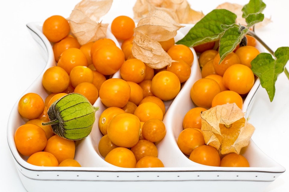 Heirloom Organic Cape Gooseberry Seeds  Aka Physalis peruviana, Golden Berry, Rasbhari, Peruvian Groundcherry, Poha