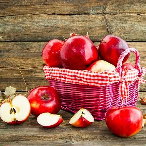 Organic Red Jonathan Apple Tree Seeds Aka Malus domestica !Fast growing trees!