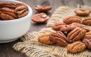 Heirloom Organic Pecan Tree Seeds (The perfect Memorial Trees or Landscaping Nut Trees to increase property value Carya illinoensis Seeds)