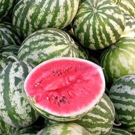 Heirloom Organic Ukraine Astrakhan Watermelon Seeds