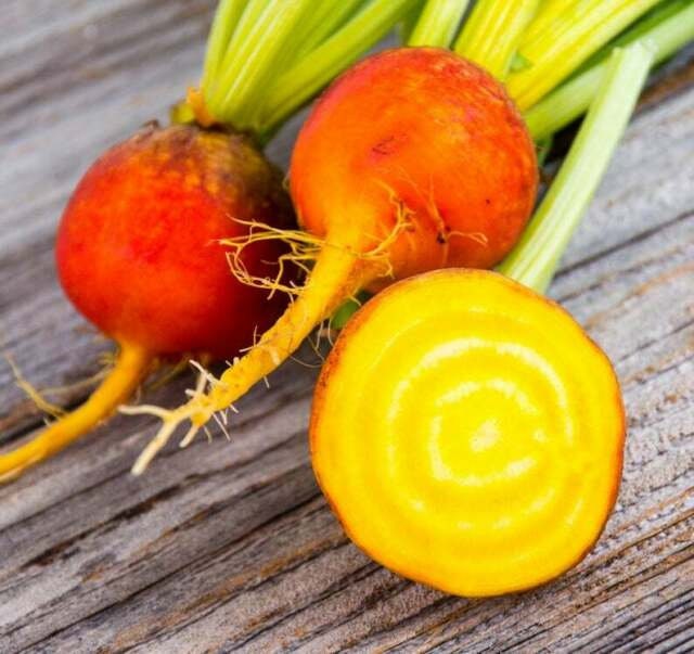 Heirloom Organic Detroit Gold Beet Seeds